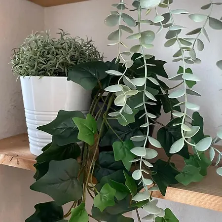 Lägenhetshotell La Carihuela Torremolinos