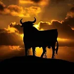 La Carihuela 3* توريمولينوس